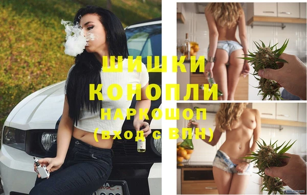 гидра Медногорск