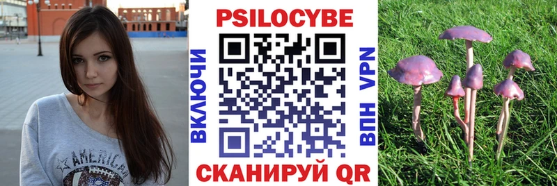 darknet какой сайт  Фатеж  Галлюциногенные грибы Psilocybine cubensis 